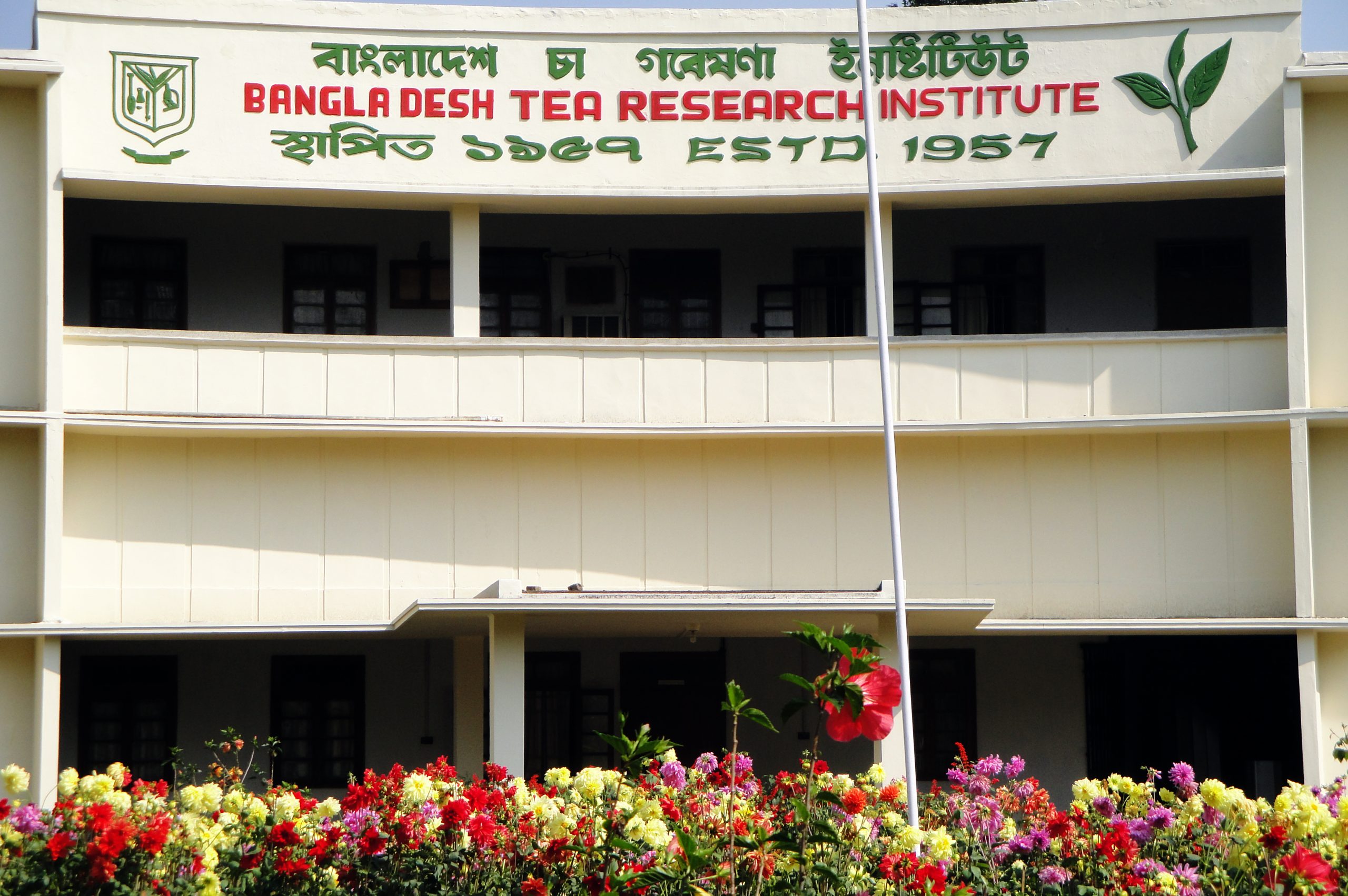 বিটিআরআই