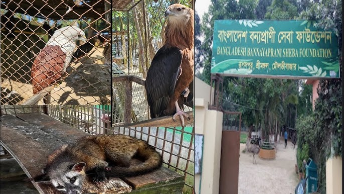 বন্যপ্রাণী কেন্দ্র