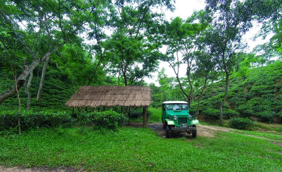 নূরজাহান বাগান
