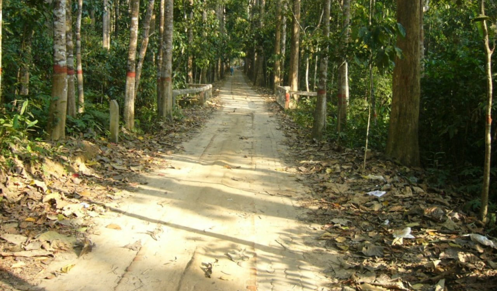 লাউয়াছড়া