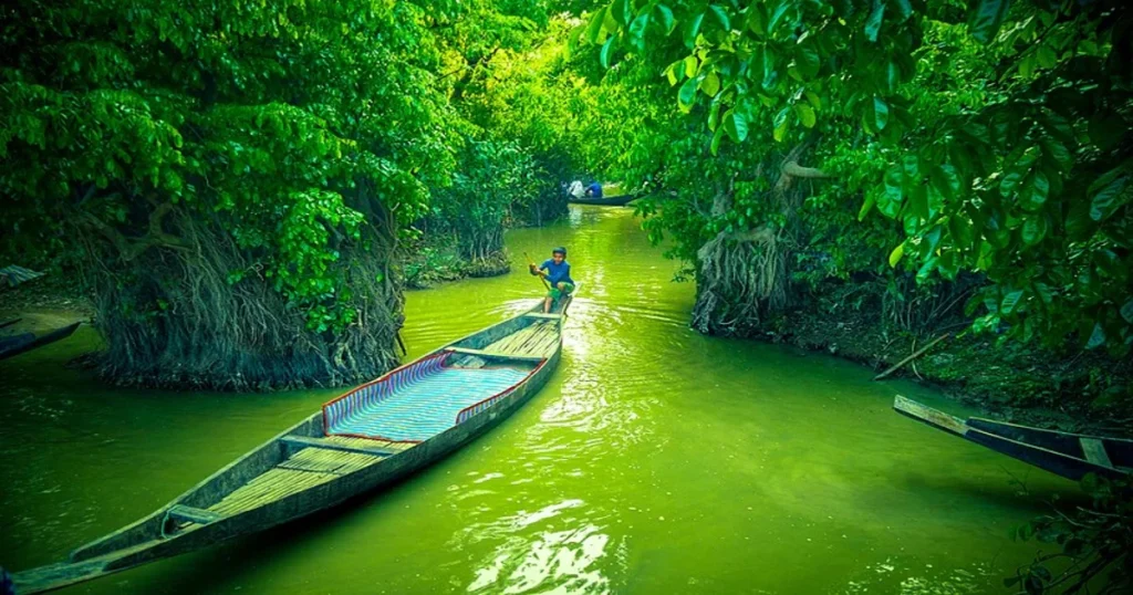রাতারগুল সোয়াম্প ফরেস্ট | Ratargul Swamp Forest